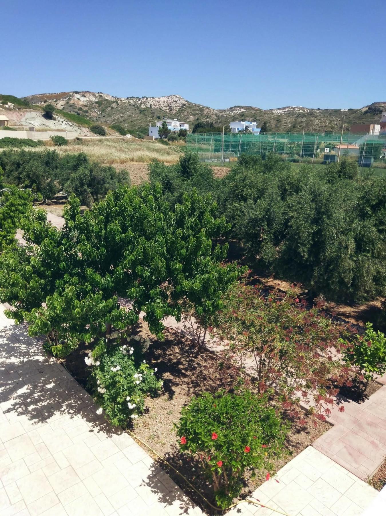 קפלוס Eleni Hotel מראה חיצוני תמונה